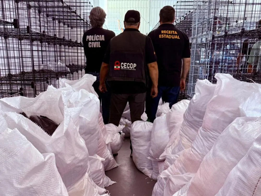 Polícia Civil apreende 50 mil peças de roupas falsificadas em operação no Vale do Itajaí; veja fotos