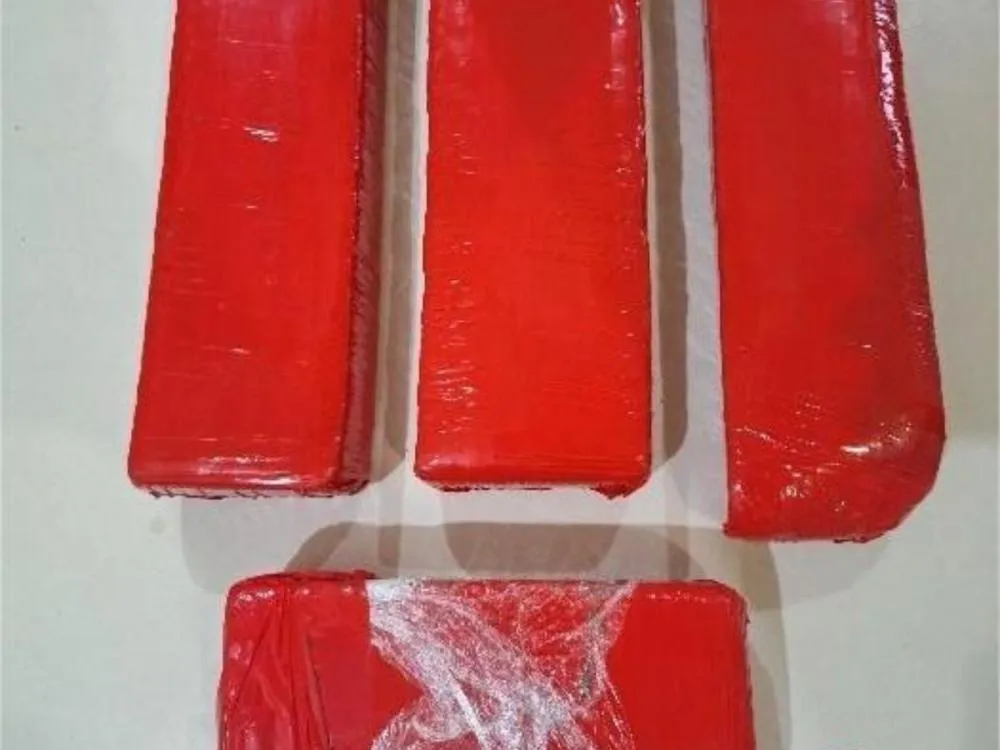 Cão farejador da PM encontra mais de 3 kg de maconha escondida em área de mata no bairro Água Verde