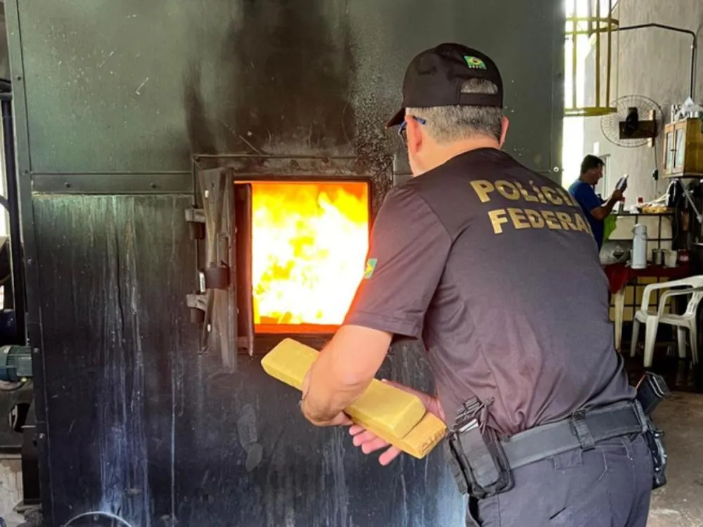 PF incinera seis toneladas de maconha após mega apreensão na divisa entre SC e PR