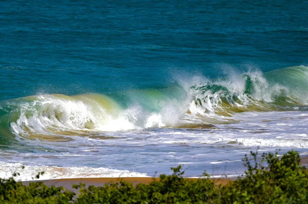 Foto: Divulgação/Eduardo Valente/GOVSC
