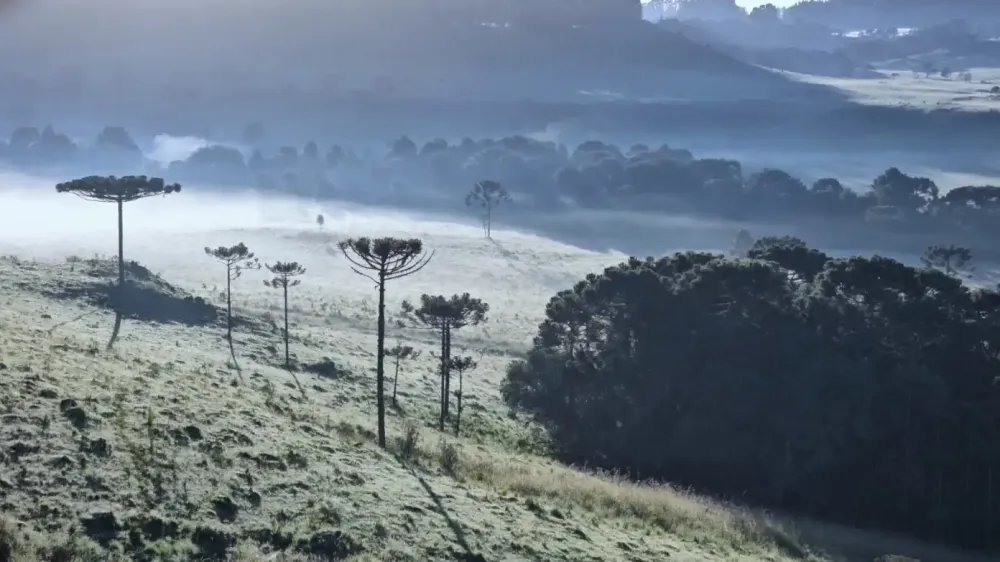 Geada em pleno verão marca amanhecer gelado na Serra Catarinense