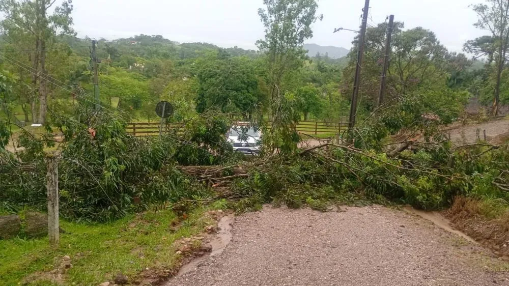 Moradores enfrentam transtornos e apagão após temporal em Gaspar