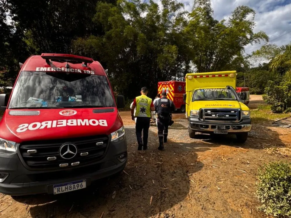 Ataque de abelhas durante roçada deixa dois servidores públicos feridos em Timbó