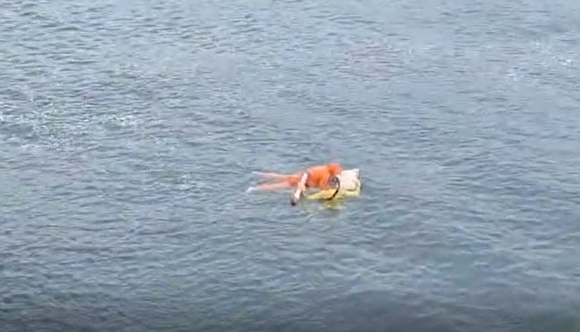 Pescador sobrevive a naufrágio após passar mais de 17 horas à deriva agarrado a porta de geladeira em SC