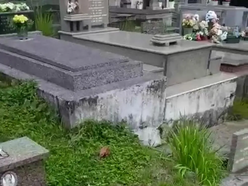 Vídeo: Moradores reclamam de matagal no Cemitério da João Pessoa, em Blumenau
