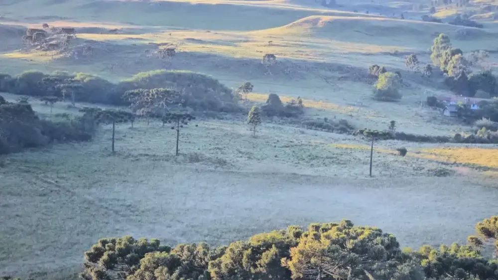 Serra de SC registra geada e temperaturas típicas de inverno no verão