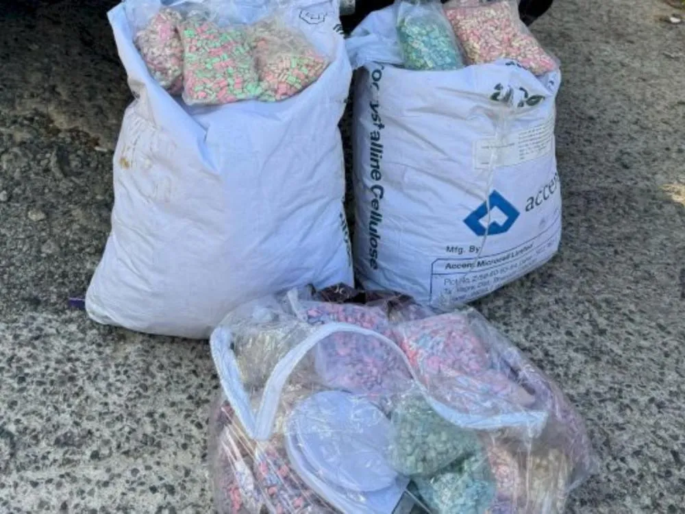 PM apreende 120 mil comprimidos de ecstasy em Camboriú; drogas seriam usadas em carnaval e festa eletrônica