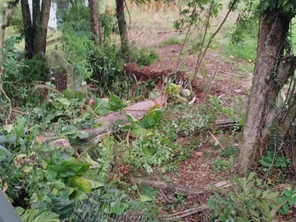 Foto: Divulgação/Bombeiros