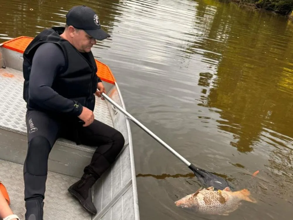 Fotos: Peixes mortos e suspeita de contaminação mobilizam Defesa Civil em Timbó