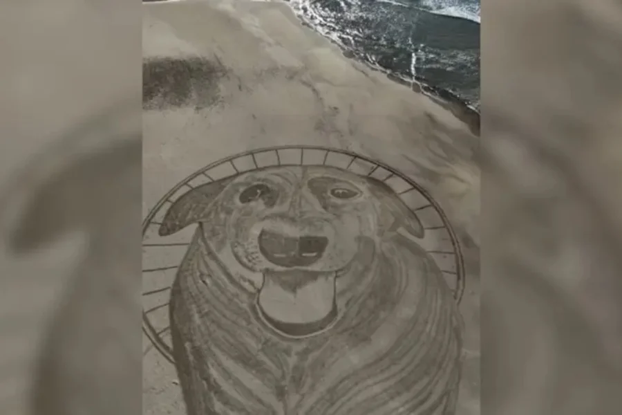 Cão comunitário morto após maus-tratos é homenageado com arte de 40 metros na areia da Praia da Galheta, em Florianópolis