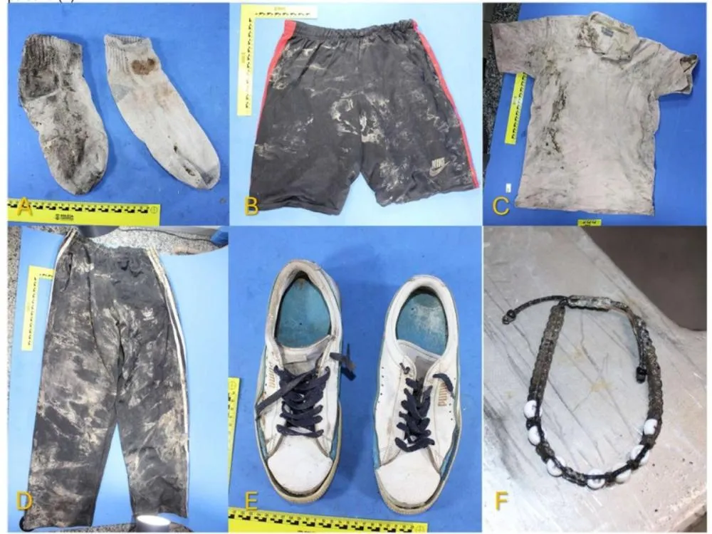 Polícia Civil pede ajuda para identificar ossada encontrada em área de mata no bairro Garcia, em Blumenau