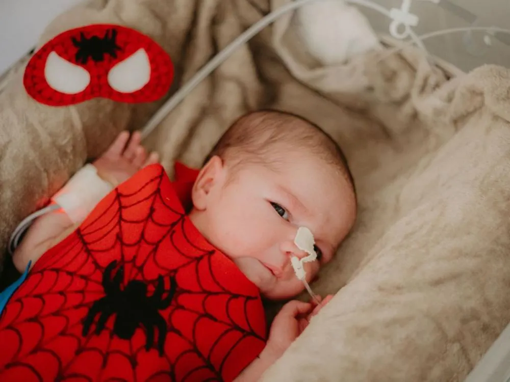 Fotos: Pequenos heróis da UTI do Hospital Santo Antônio, em Blumenau, ganham ensaio de Carnaval