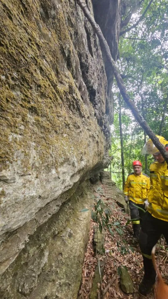 Cão é resgatado após cair em ribanceira no Alto Vale