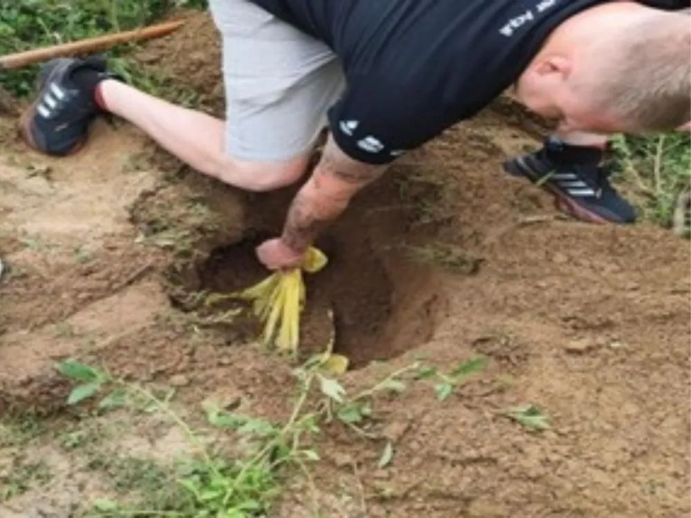 Homem é preso após matar dois cães a machadadas no Vale do Itajaí