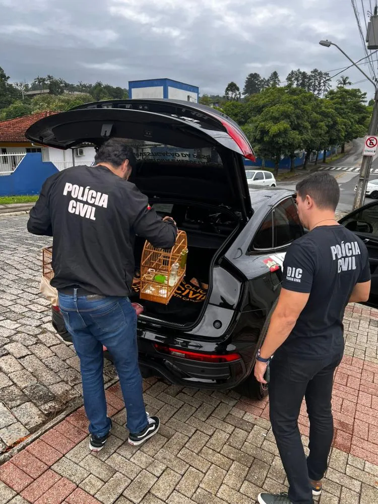 Foto: Polícia Civil/Divulgação