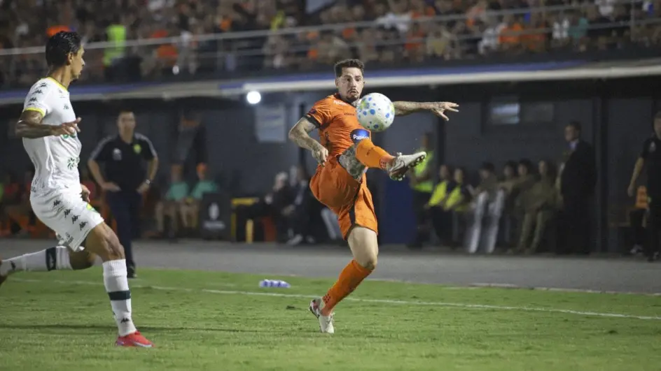 Foto: Divulgação/Rolf Jr/Santa Catarina