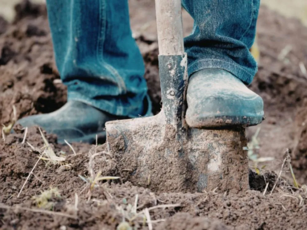 Presos da Penitenciária de Blumenau passam a atuar em serviços de manutenção em Gaspar