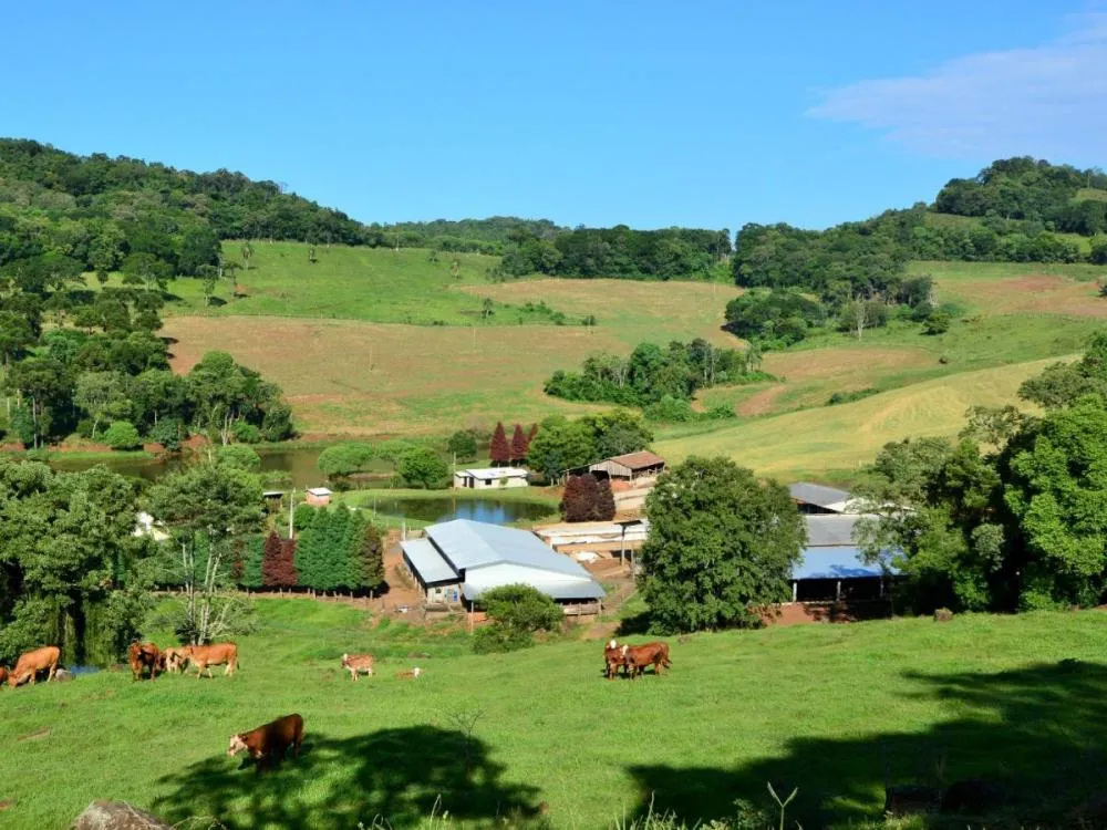 Agricultores e pescadores de SC têm acesso a R$ 260 milhões em programas de financiamento; entenda