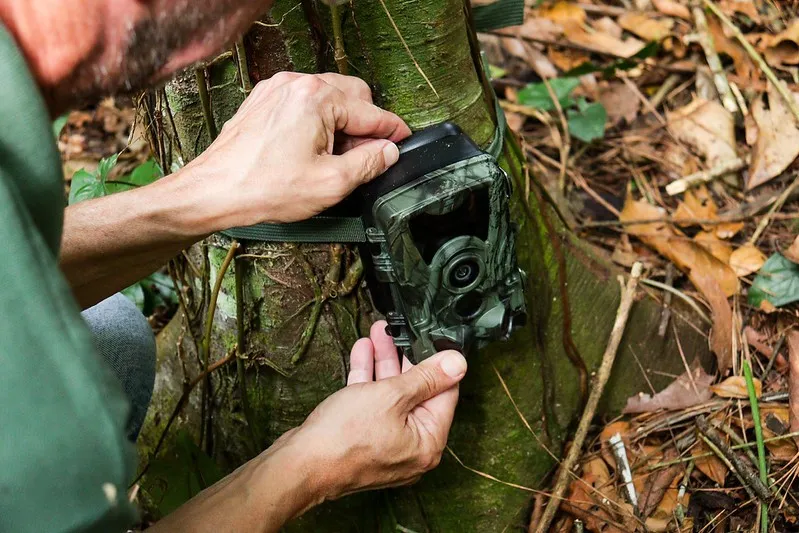 Foto: Divulgação/Prefeitura de Blumenau/Michele Lamin