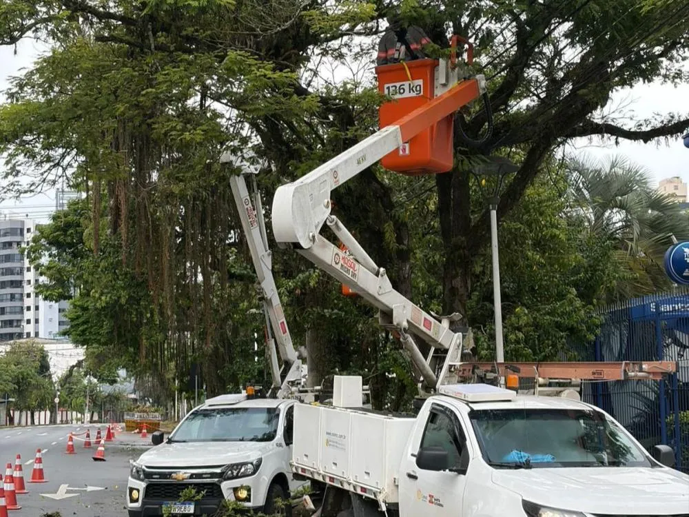 Serviço de poda de árvores impacta trânsito na Alameda Rio Branco, em Blumenau, neste domingo