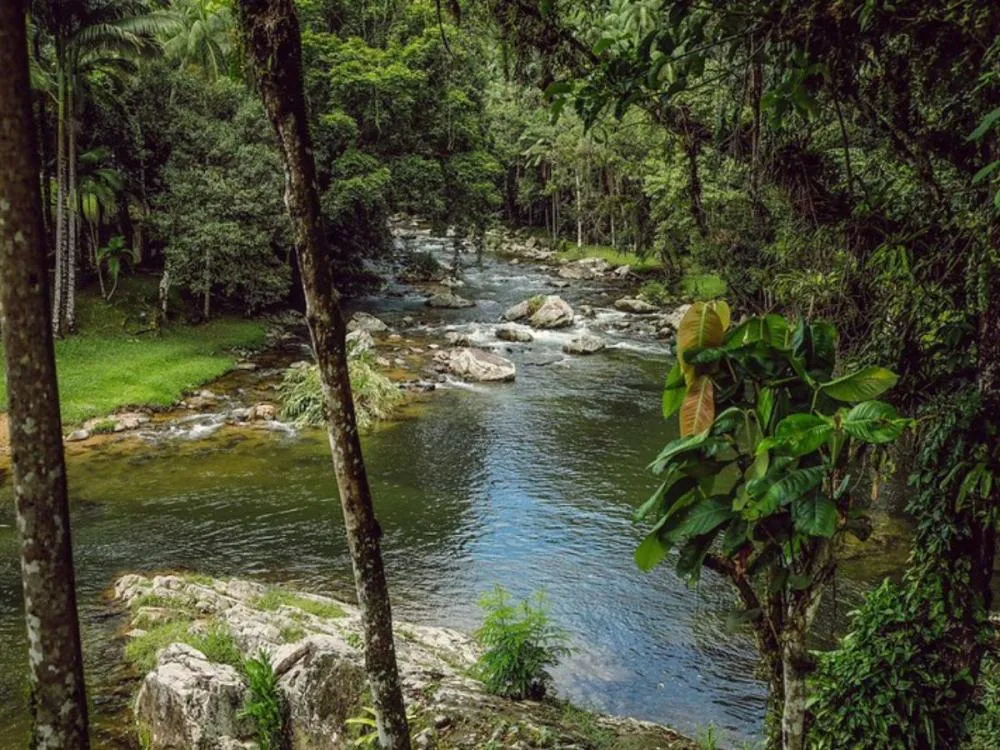 Plataforma permite acompanhar qualidade da água dos rios em Blumenau; entenda
