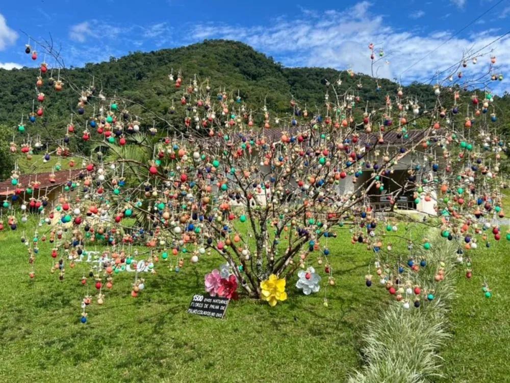 Fotos: Palha de milho garante destaque e vitória em concurso da Osterbaum na Rota do Enxaimel, em Pomerode
