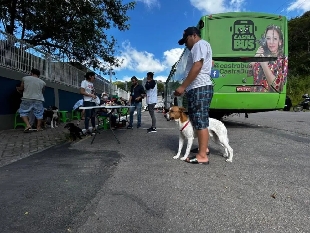 Mutirão de castração de cães e gatos será realizado no bairro da Barra neste domingo em Balneário Camboriú