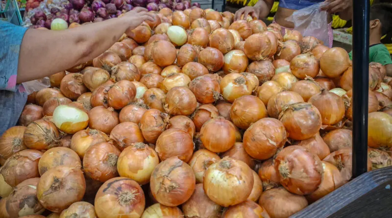Preço da cesta básica em Navegantes fica mais caro em março, aponta Procon