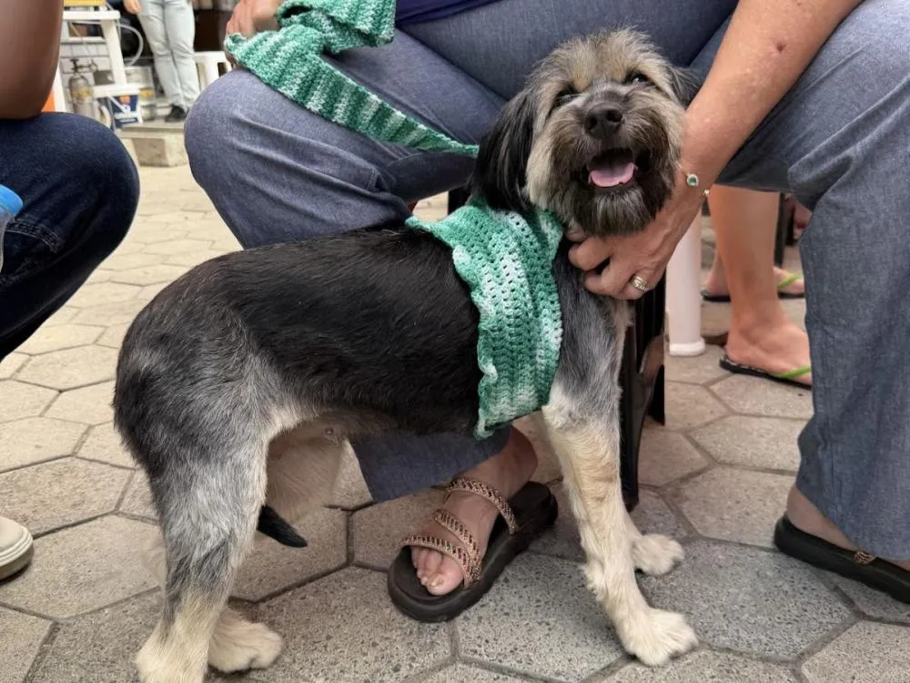 Foto: Edilaine Kaleski