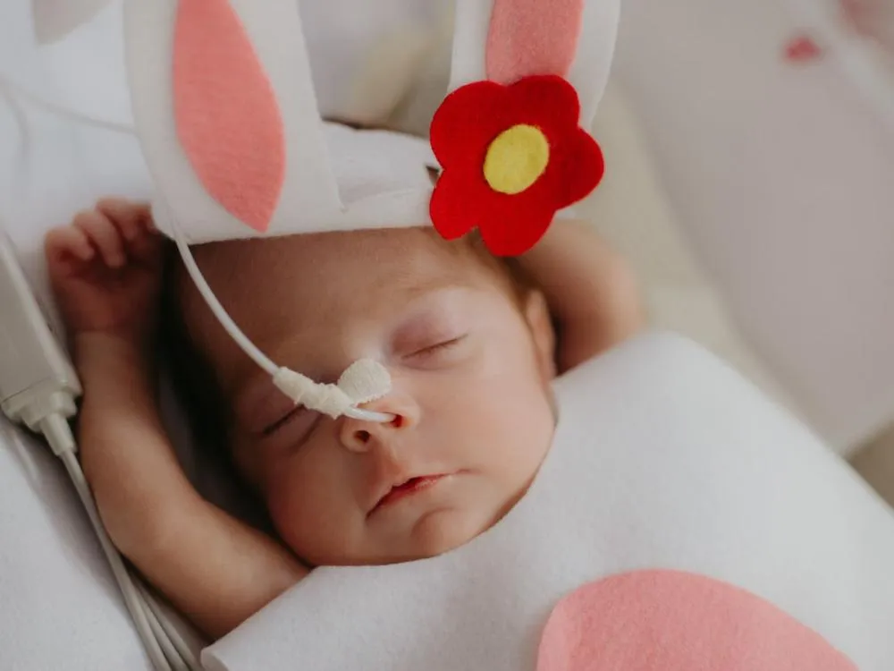 Foto: Thayná Hoffmann