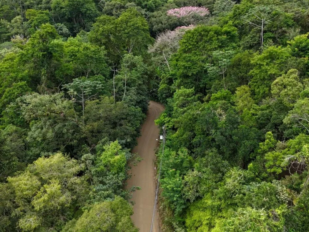 Foto: Divulgação/SECOM SC