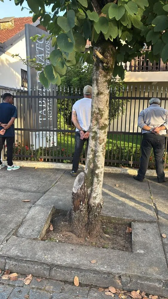 Trio é preso em Timbó ao tentar usar documentos falsos em cartório 