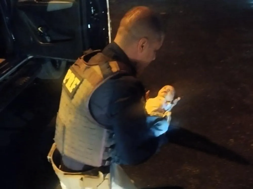 Policiais da PRF salvam recém-nascida engasgada na BR-470, em Blumenau