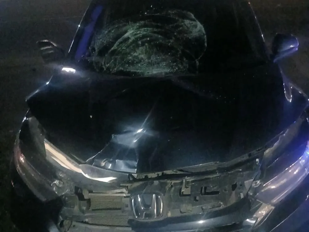 Foto: Divulgação/Bombeiros Voluntários de Indaial