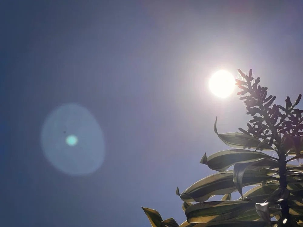Tempo firme e sol predominam em Blumenau neste domingo