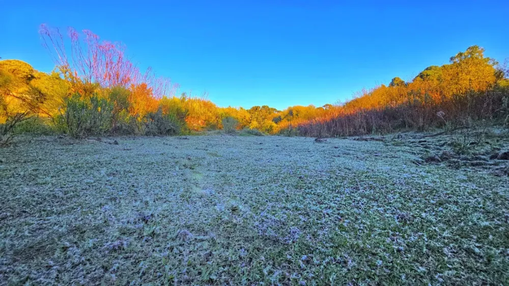 Serra de SC registra geada e mínimas abaixo de 3°C nesta segunda-feira