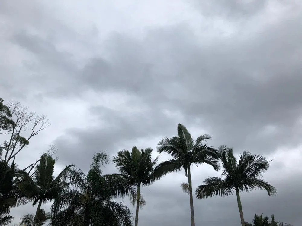 Sistema de baixa pressão traz chuvas para SC a partir desta terça; veja previsão