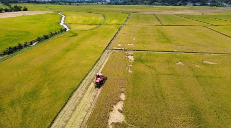 Foto: Divulgação/Prefeitura de Gaspar