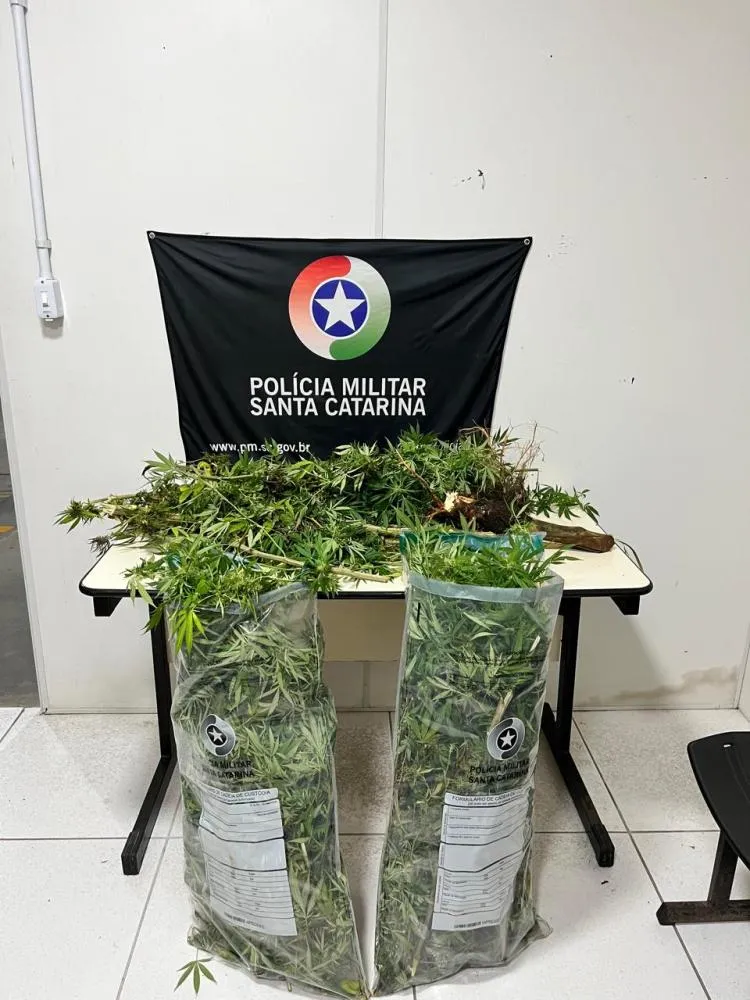 Divulgação / PMSC