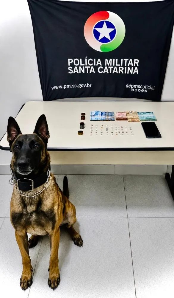 Mulher é presa com crack no bairro Vorstadt e cão farejador encontra mais 41 pedras escondidas em terreno