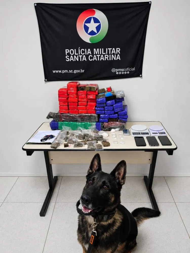 Divulgação / PMSC