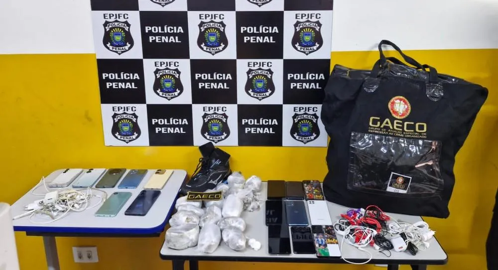 Divulgação / MPSC