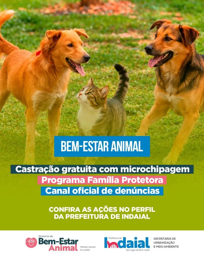 Foto: Divulgação