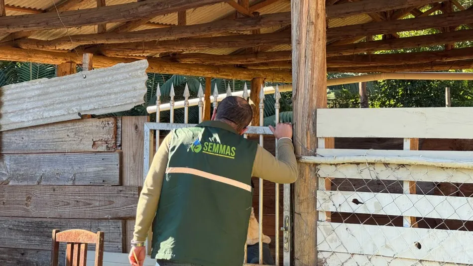 Casal é preso por maus-tratos após 33 animais serem encontrados em condições insalubres em Blumenau
