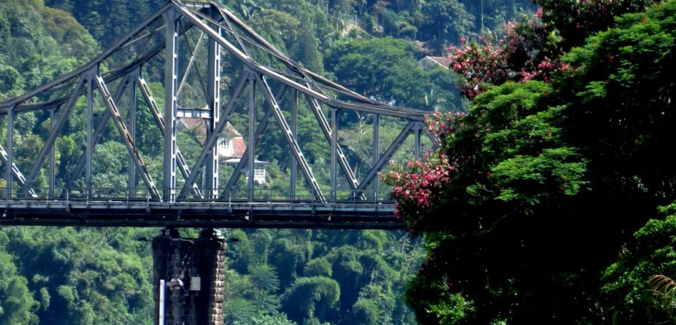 Corrida CDL provoca mudanças no trânsito de Blumenau na manhã deste domingo