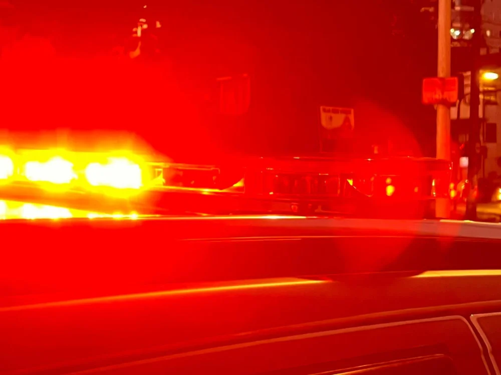 Corpo carbonizado é encontrado às margens de estrada em Gaspar