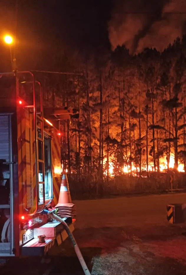 Incêndio de grandes proporções destrói empresa de produção de pellets em Benedito Novo