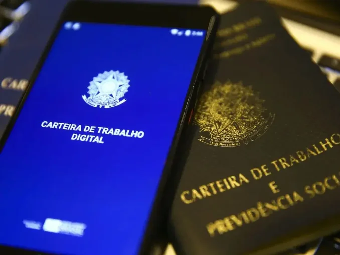 SC registra menor taxa de desemprego do Brasil no segundo trimestre de 2026, aponta IBGE