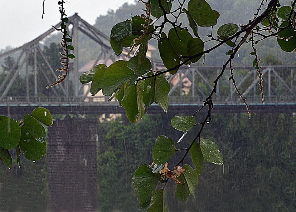 Blumenau atualiza cenário climático diante de 95% de chance de El Niño muito forte