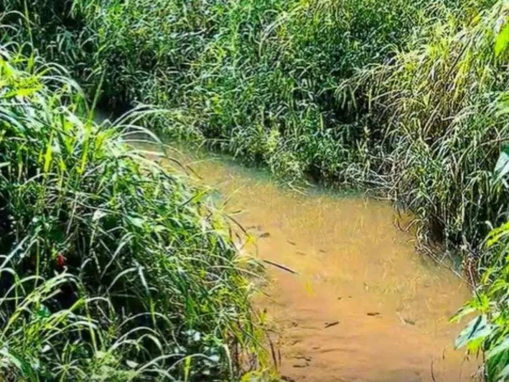 Alagamentos e problemas no escoamento da água preocupam moradores no Loteamento Pôr do Sol, em Blumenau